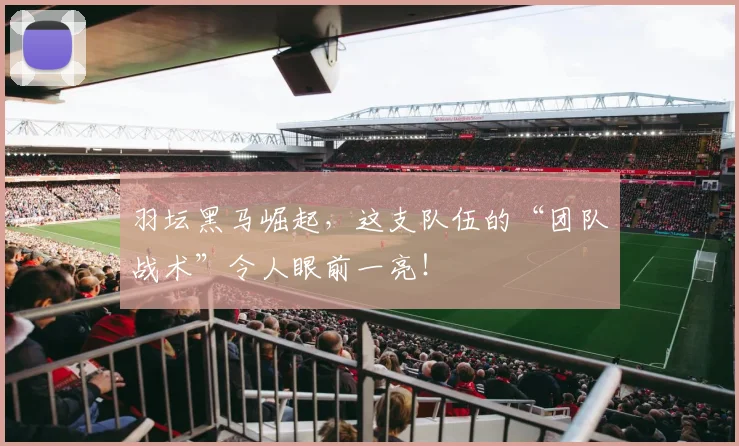 羽坛黑马崛起，这支队伍的“团队战术”令人眼前一亮！