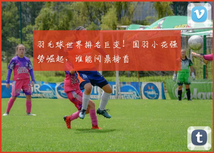 羽毛球世界排名巨变！国羽小花强势崛起，谁能问鼎榜首